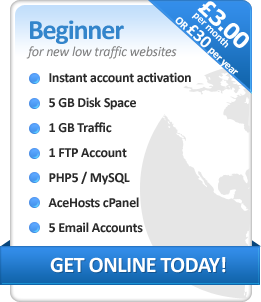 Beginner Hosting Package