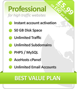 Professional Hosting Package